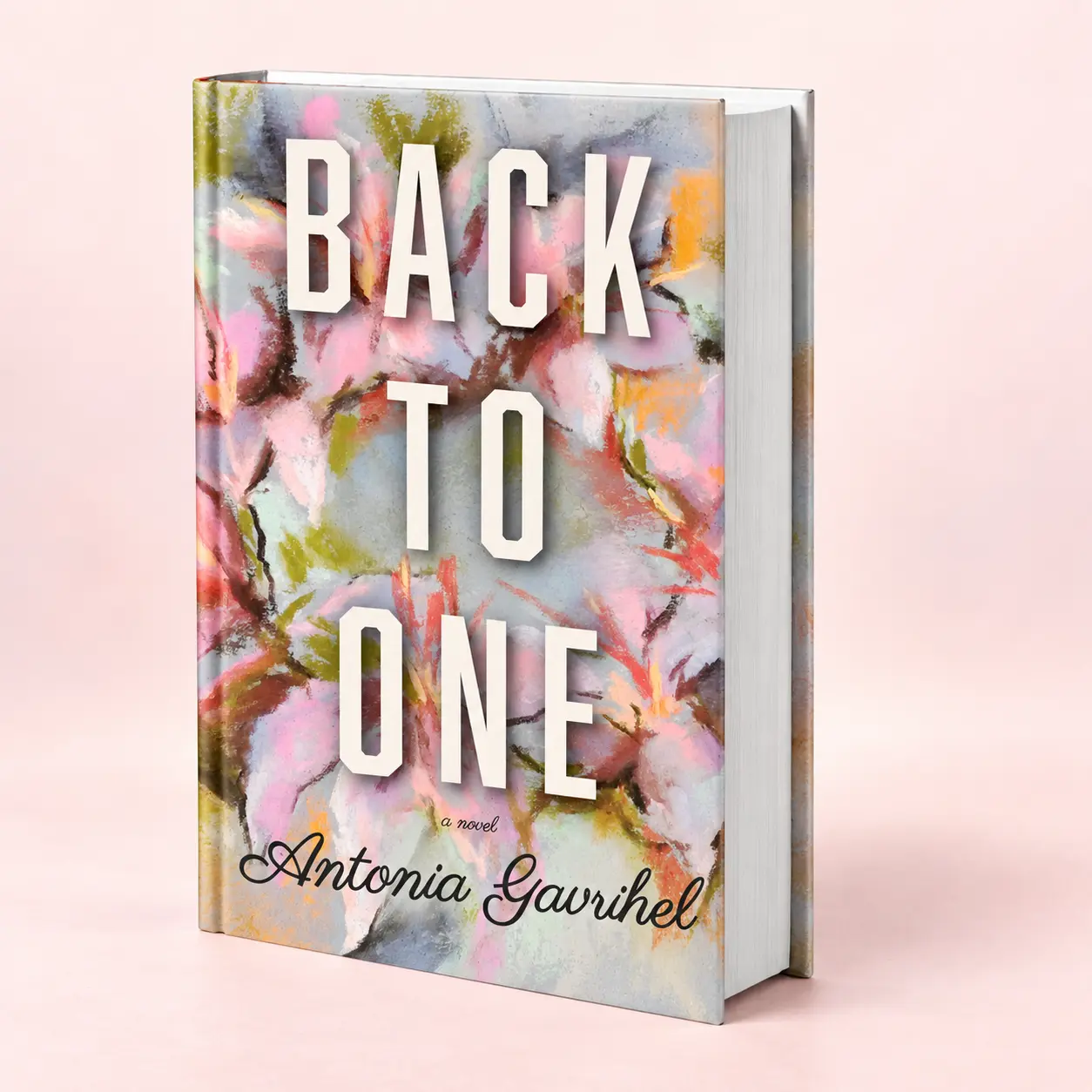 Back to One book cover by Antonia Gavrihel